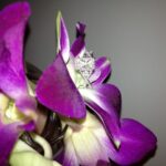 engagement ring photography for wedding couples