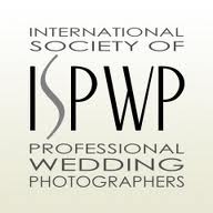 professional-wedding-photographers