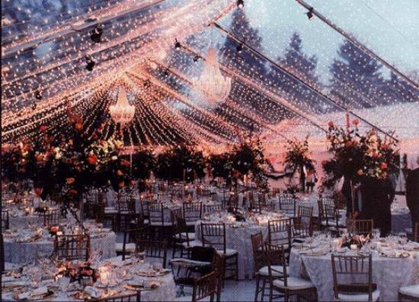 clear tent bistro light canopy