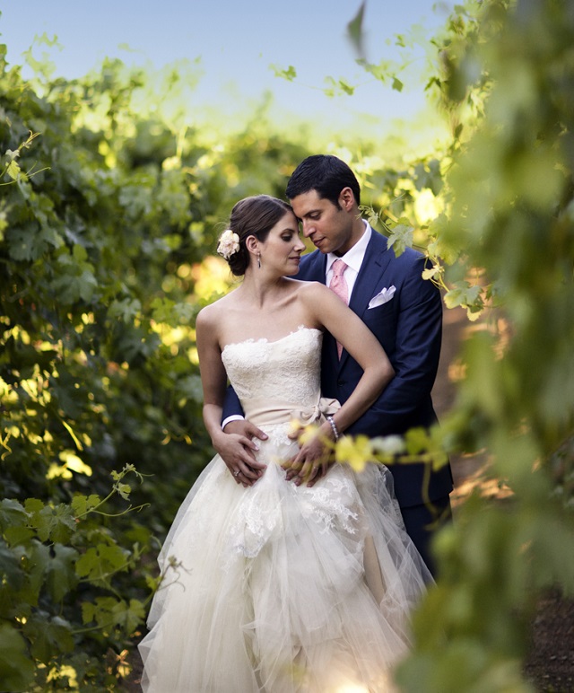 Sonoma Valley wedding bride and groom