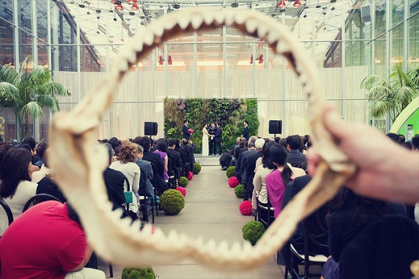 San Francisco wedding venue Academy of Sciences