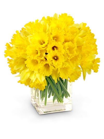 daffodil bouquet tenth wedding anniversary